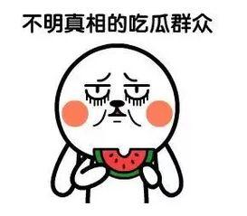 吃瓜群众网络用语,揭秘娱乐圈那些事儿